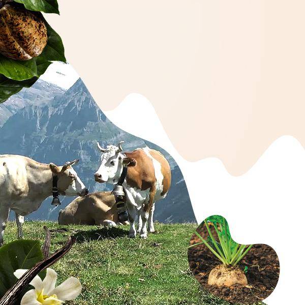 We drive sustainability impact 