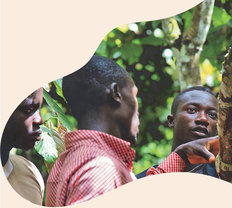 Our Sustainability Mission