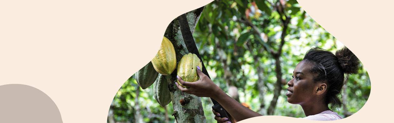 commitment_Sustainability