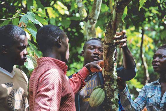 Our Sustainability Mission